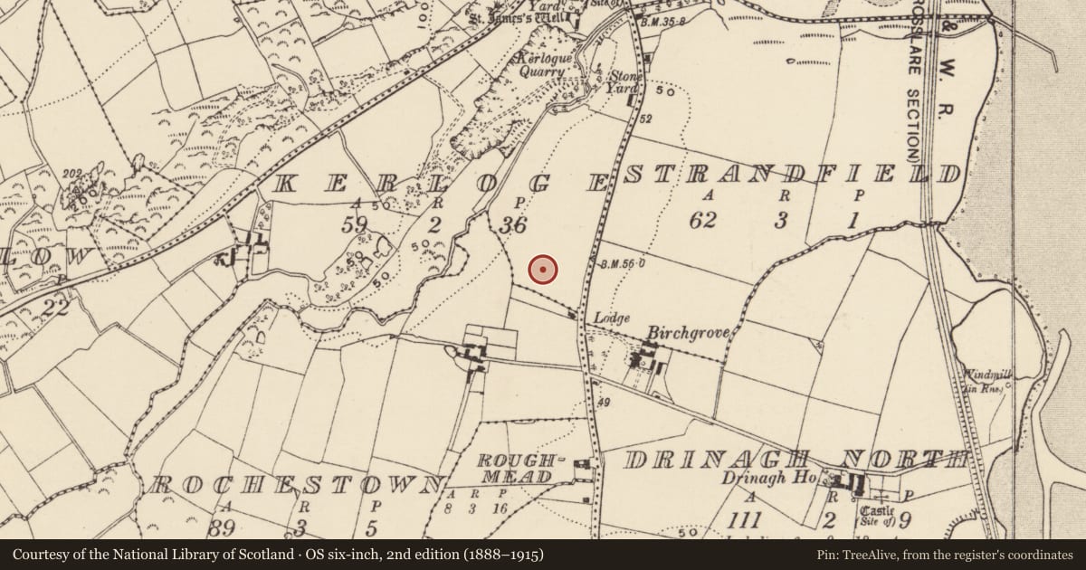 Ordnance Survey six-inch map, 2nd edition (1888–1915) covering the location of Barrow - ditch barrow, Kerloge, County Wexford, with a pin at the register's coordinates