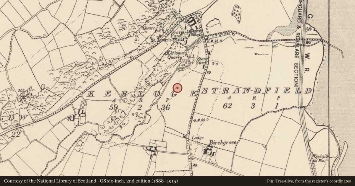 Ordnance Survey six-inch map, 2nd edition (1888–1915) covering the location of Barrow - ditch barrow, Kerloge, County Wexford, with a pin at the register's coordinates