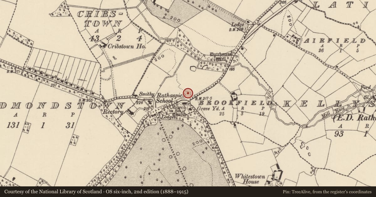 Ordnance Survey six-inch map, 2nd edition (1888–1915) covering the location of Moated site, Rathaspick, County Wexford, with a pin at the register's coordinates