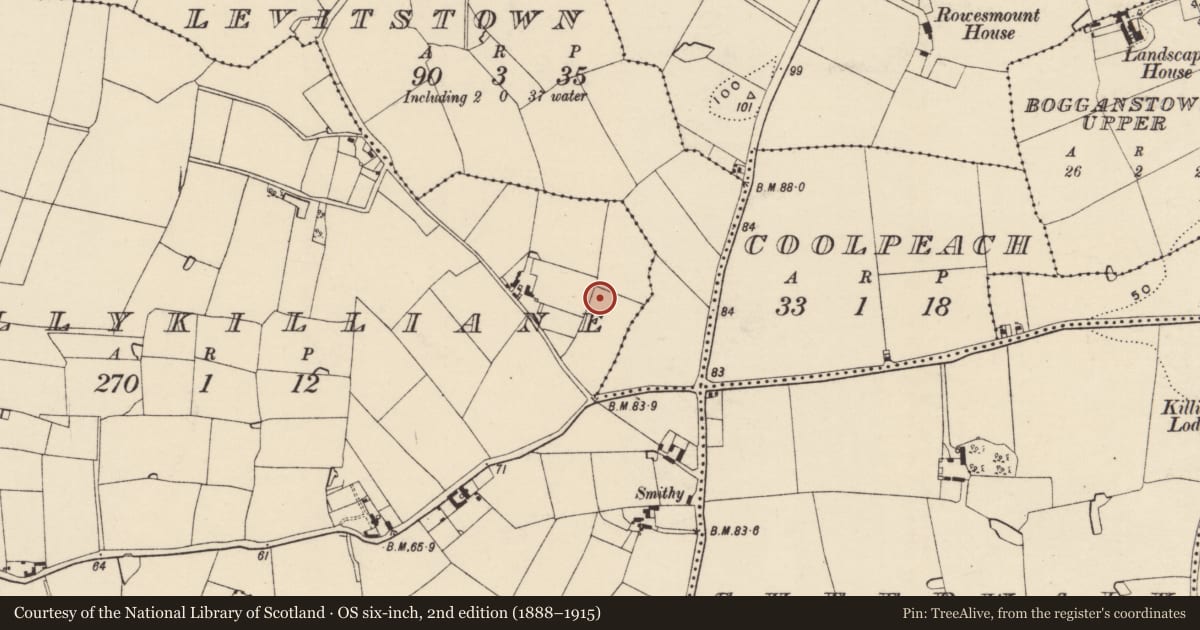 Ordnance Survey six-inch map, 2nd edition (1888–1915) covering the location of Ring-ditch, Ballykilliane, County Wexford, with a pin at the register's coordinates