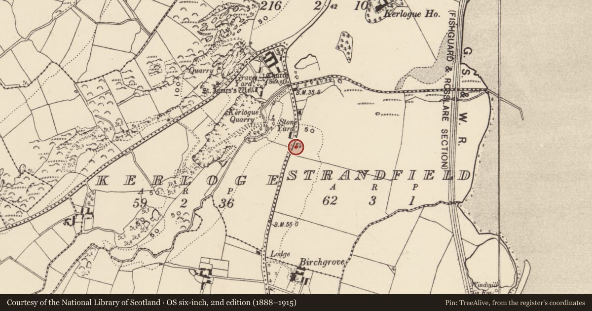 Ordnance Survey six-inch map, 2nd edition (1888–1915) covering the location of House - Bronze Age, Strandfield, County Wexford, with a pin at the register's coordinates