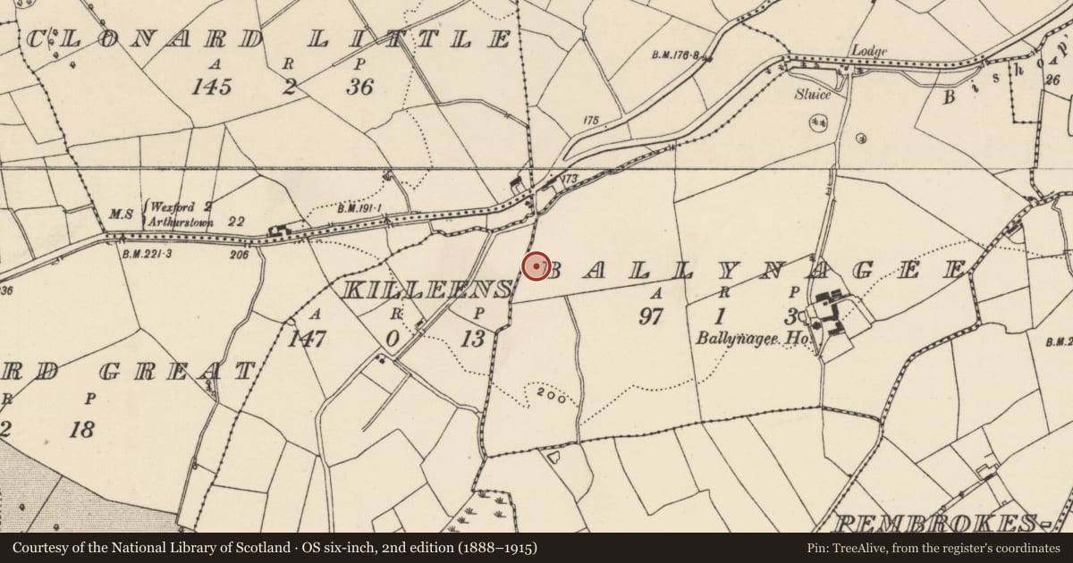 Ordnance Survey six-inch map, 2nd edition (1888–1915) covering the location of Fulacht fia, Ballynagee, County Wexford, with a pin at the register's coordinates