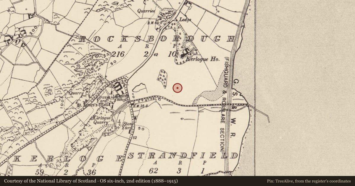 Ordnance Survey six-inch map, 2nd edition (1888–1915) covering the location of Ringfort - rath, Rocksborough, County Wexford, with a pin at the register's coordinates