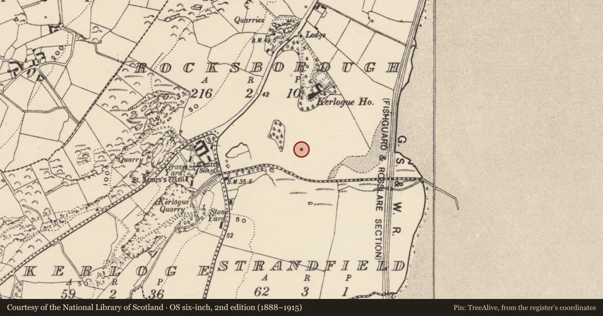 Ordnance Survey six-inch map, 2nd edition (1888–1915) covering the location of Hut site, Rocksborough, County Wexford, with a pin at the register's coordinates
