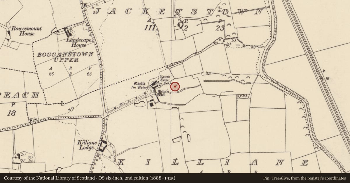 Ordnance Survey six-inch map, 2nd edition (1888–1915) covering the location of Chapel, Killiane, County Wexford, with a pin at the register's coordinates