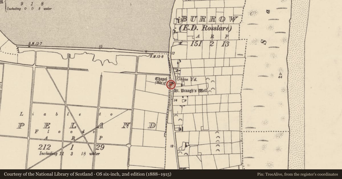 Ordnance Survey six-inch map, 2nd edition (1888–1915) covering the location of Graveyard, Burrow, County Wexford, with a pin at the register's coordinates