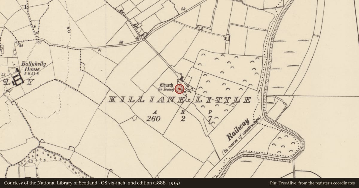 Ordnance Survey six-inch map, 2nd edition (1888–1915) covering the location of Church, Killiane Little, County Wexford, with a pin at the register's coordinates