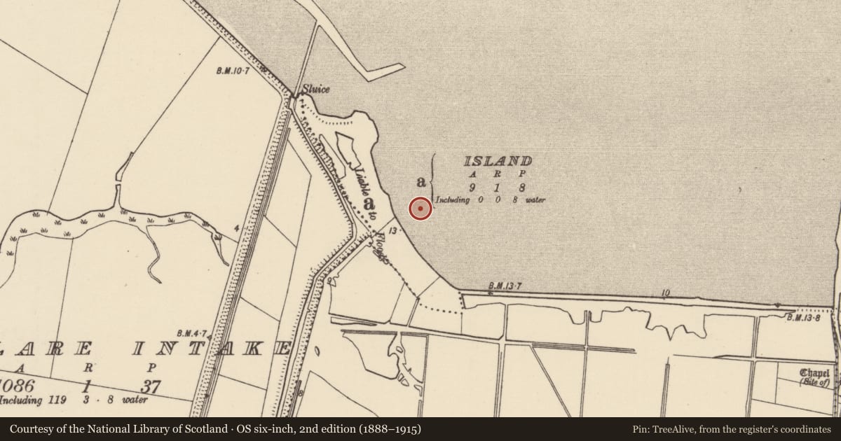 Ordnance Survey six-inch map, 2nd edition (1888–1915) covering the location of Weir - fish, Island, County Wexford, with a pin at the register's coordinates