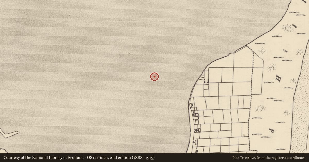 Ordnance Survey six-inch map, 2nd edition (1888–1915) covering the location of Weir - fish, Burrow, County Wexford, with a pin at the register's coordinates