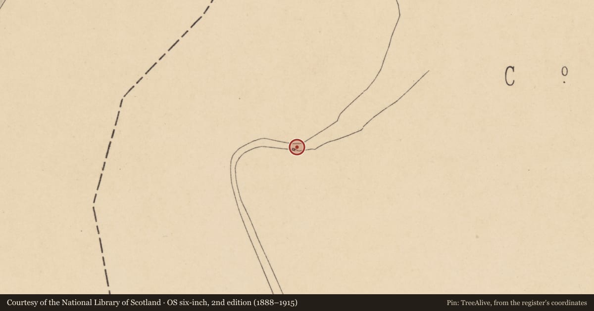Ordnance Survey six-inch map, 2nd edition (1888–1915) covering the location of Castle - tower house, Nook, County Wexford, with a pin at the register's coordinates