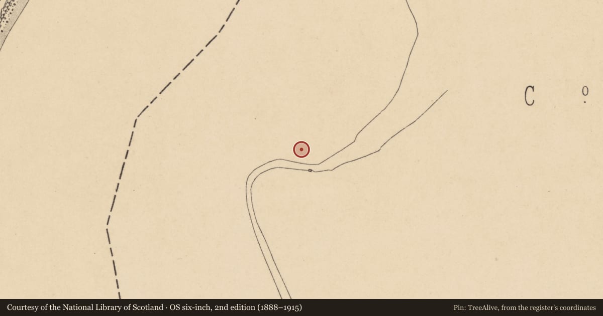 Ordnance Survey six-inch map, 2nd edition (1888–1915) covering the location of Weir - fish, Nook, County Wexford, with a pin at the register's coordinates