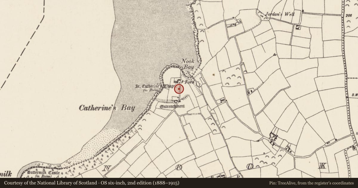 Ordnance Survey six-inch map, 2nd edition (1888–1915) covering the location of Promontory fort - coastal, Nook, County Wexford, with a pin at the register's coordinates