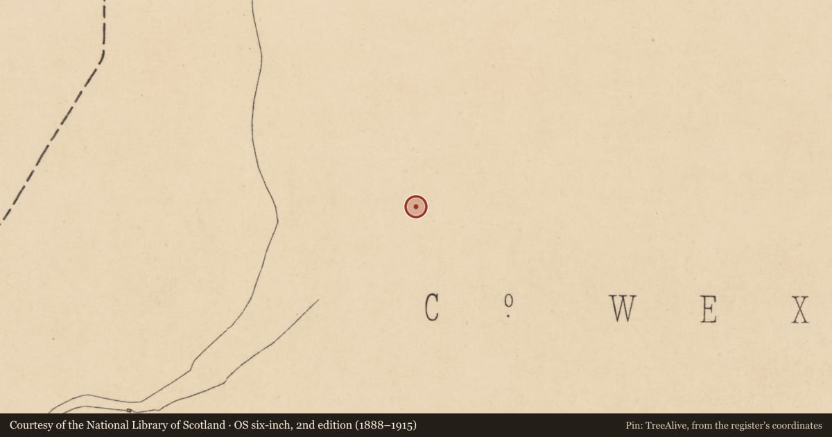 Ordnance Survey six-inch map, 2nd edition (1888–1915) covering the location of Church, Nook, County Wexford, with a pin at the register's coordinates
