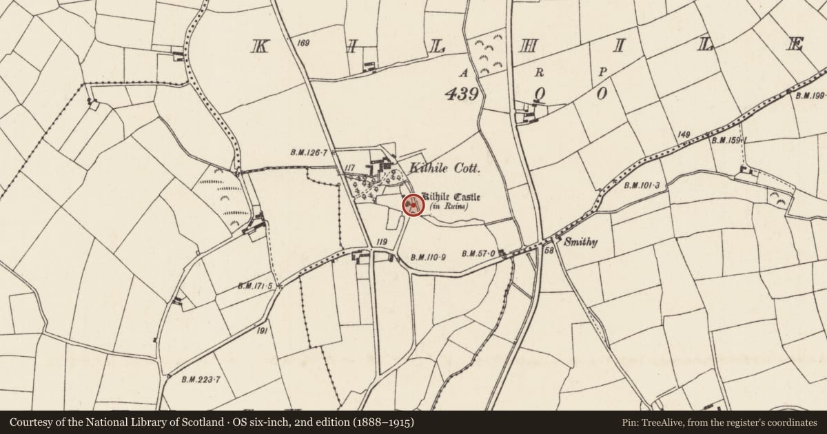 Ordnance Survey six-inch map, 2nd edition (1888–1915) covering the location of Castle - tower house, Kilhile, County Wexford, with a pin at the register's coordinates