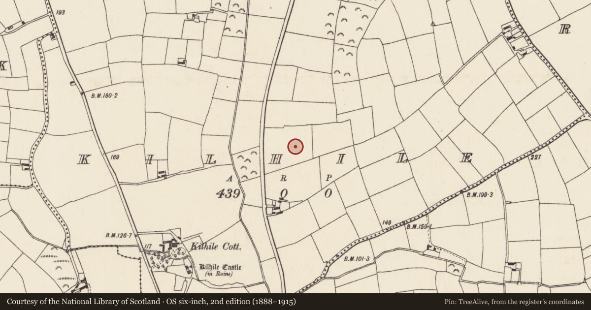 Ordnance Survey six-inch map, 2nd edition (1888–1915) covering the location of Ringfort - rath, Kilhile, County Wexford, with a pin at the register's coordinates