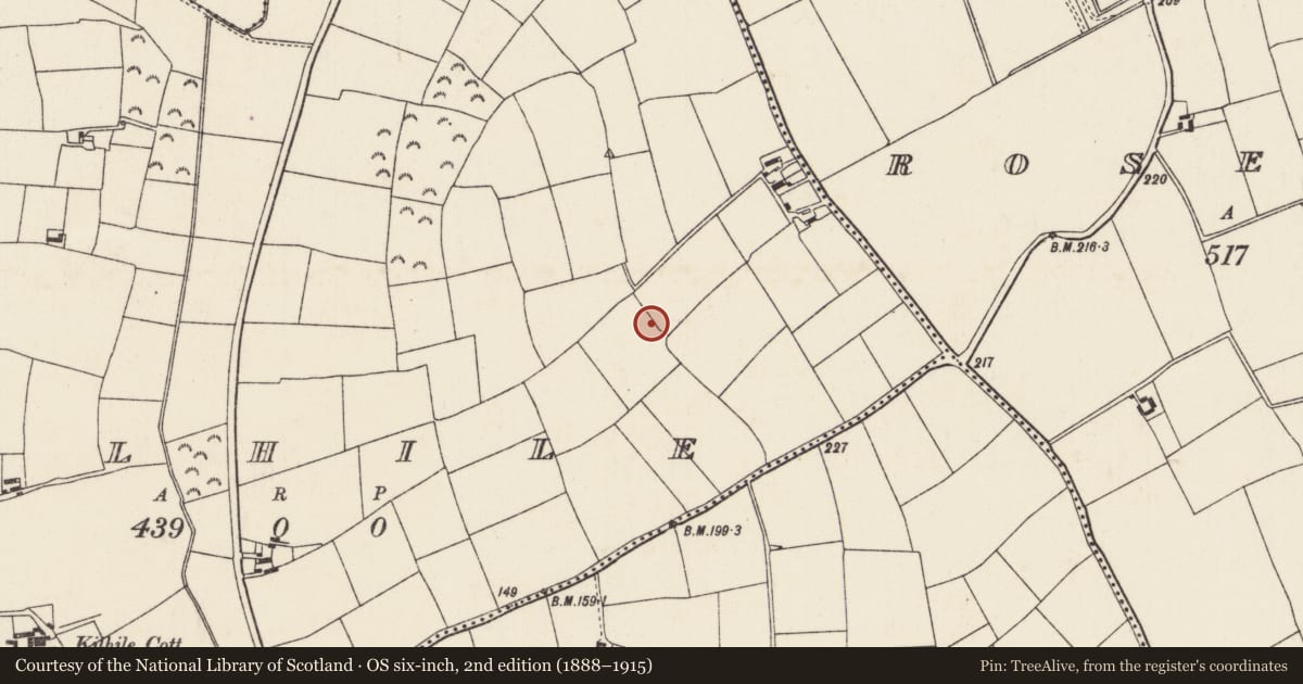 Ordnance Survey six-inch map, 2nd edition (1888–1915) covering the location of Ringfort - rath, Kilhile, County Wexford, with a pin at the register's coordinates