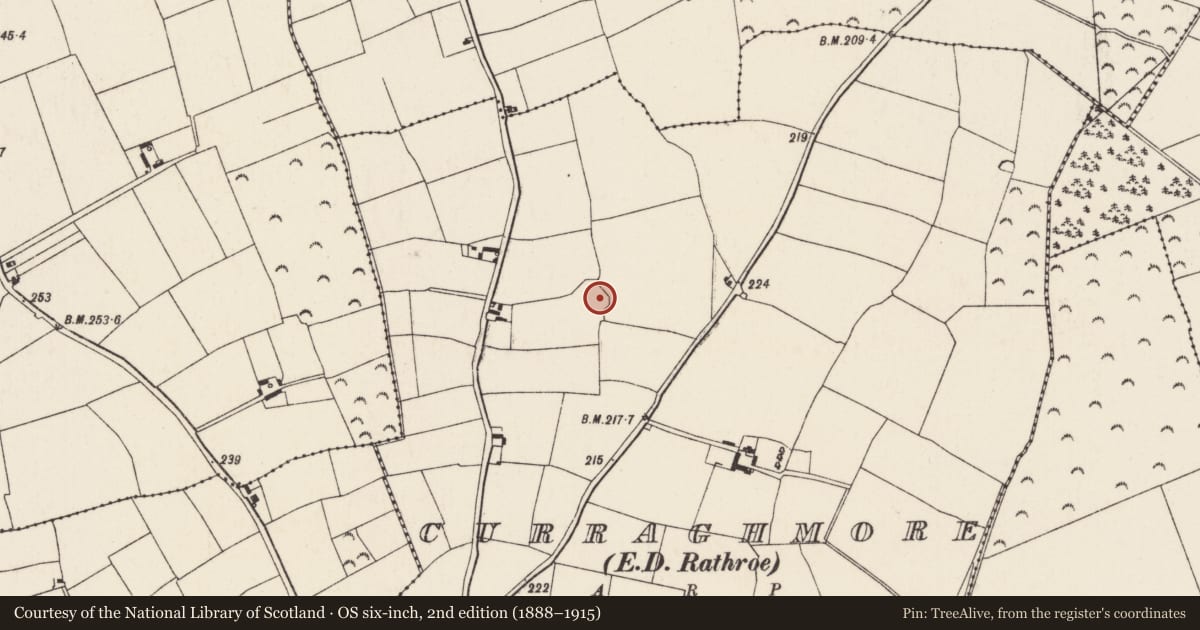 Ordnance Survey six-inch map, 2nd edition (1888–1915) covering the location of Ringfort - unclassified, Curraghmore, County Wexford, with a pin at the register's coordinates