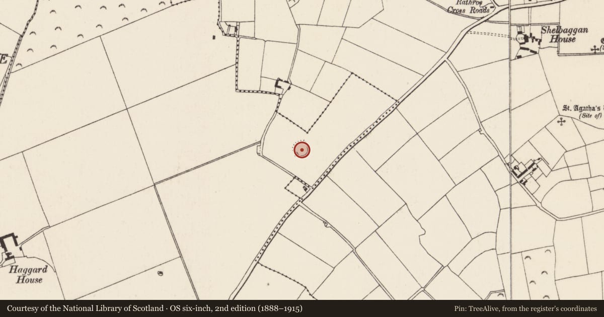 Ordnance Survey six-inch map, 2nd edition (1888–1915) covering the location of Ringfort - rath, Shelbaggan, County Wexford, with a pin at the register's coordinates
