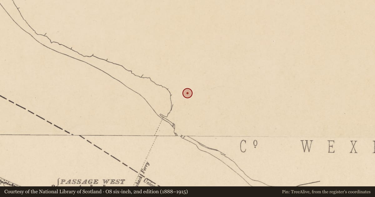 Ordnance Survey six-inch map, 2nd edition (1888–1915) covering the location of Castle - tower house, Ballyhack, County Wexford, with a pin at the register's coordinates