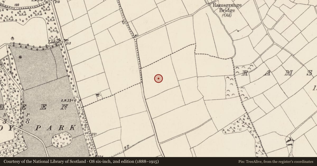 Ordnance Survey six-inch map, 2nd edition (1888–1915) covering the location of Ringfort - rath, Clonsharragh, County Wexford, with a pin at the register's coordinates