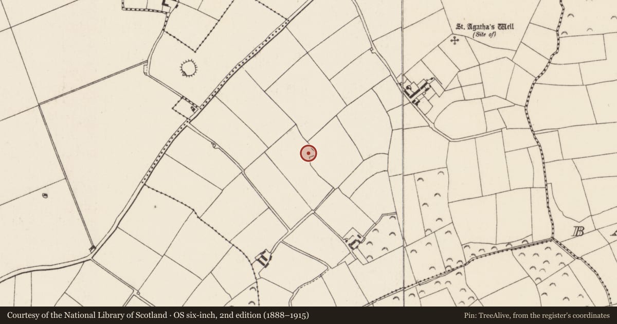 Ordnance Survey six-inch map, 2nd edition (1888–1915) covering the location of Ringfort - rath, Shelbaggan, County Wexford, with a pin at the register's coordinates