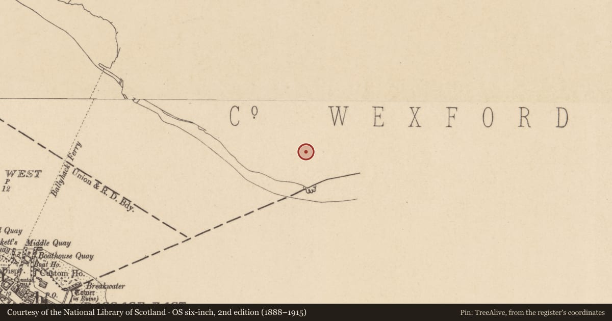 Ordnance Survey six-inch map, 2nd edition (1888–1915) covering the location of Church, Ballyhack, County Wexford, with a pin at the register's coordinates