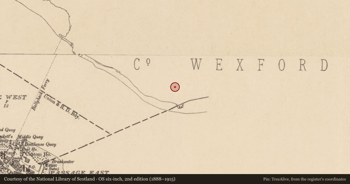 Ordnance Survey six-inch map, 2nd edition (1888–1915) covering the location of Graveyard, Ballyhack, County Wexford, with a pin at the register's coordinates