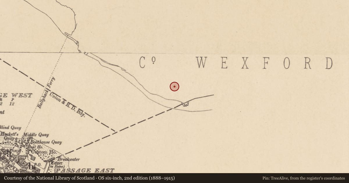 Ordnance Survey six-inch map, 2nd edition (1888–1915) covering the location of Stone trough, Ballyhack, County Wexford, with a pin at the register's coordinates