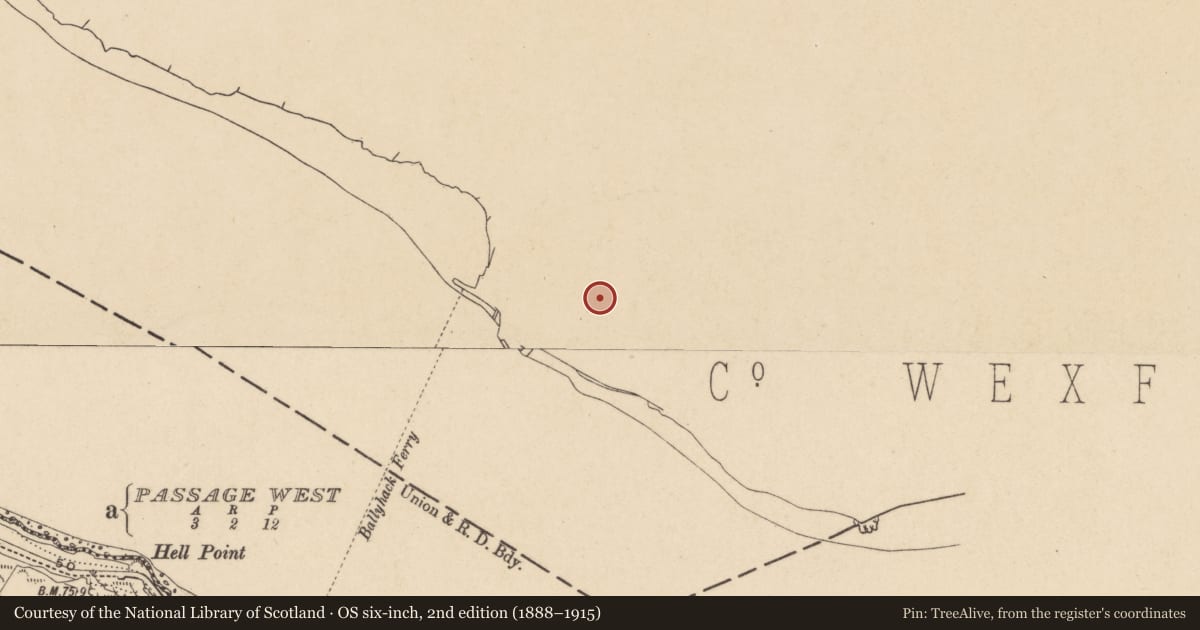 Ordnance Survey six-inch map, 2nd edition (1888–1915) covering the location of Millstone quarry, Ballyhack, County Wexford, with a pin at the register's coordinates