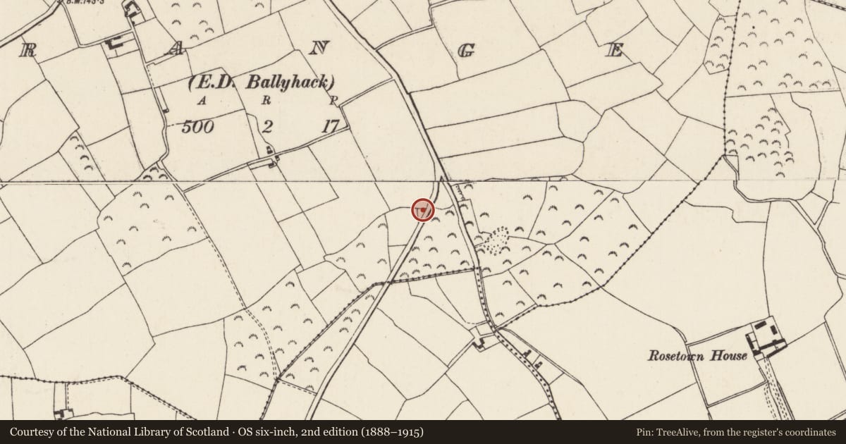 Ordnance Survey six-inch map, 2nd edition (1888–1915) covering the location of Burnt mound, Grange, County Wexford, with a pin at the register's coordinates