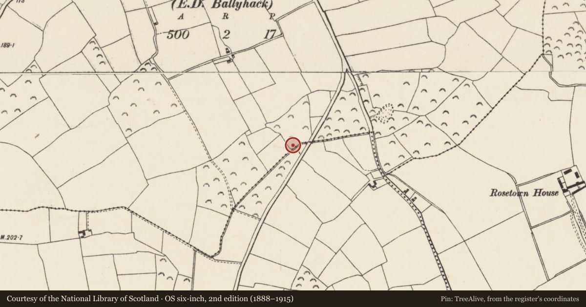 Ordnance Survey six-inch map, 2nd edition (1888–1915) covering the location of Burnt mound, Grange, County Wexford, with a pin at the register's coordinates