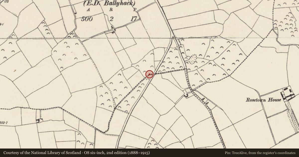 Ordnance Survey six-inch map, 2nd edition (1888–1915) covering the location of Burnt mound, Grange, County Wexford, with a pin at the register's coordinates
