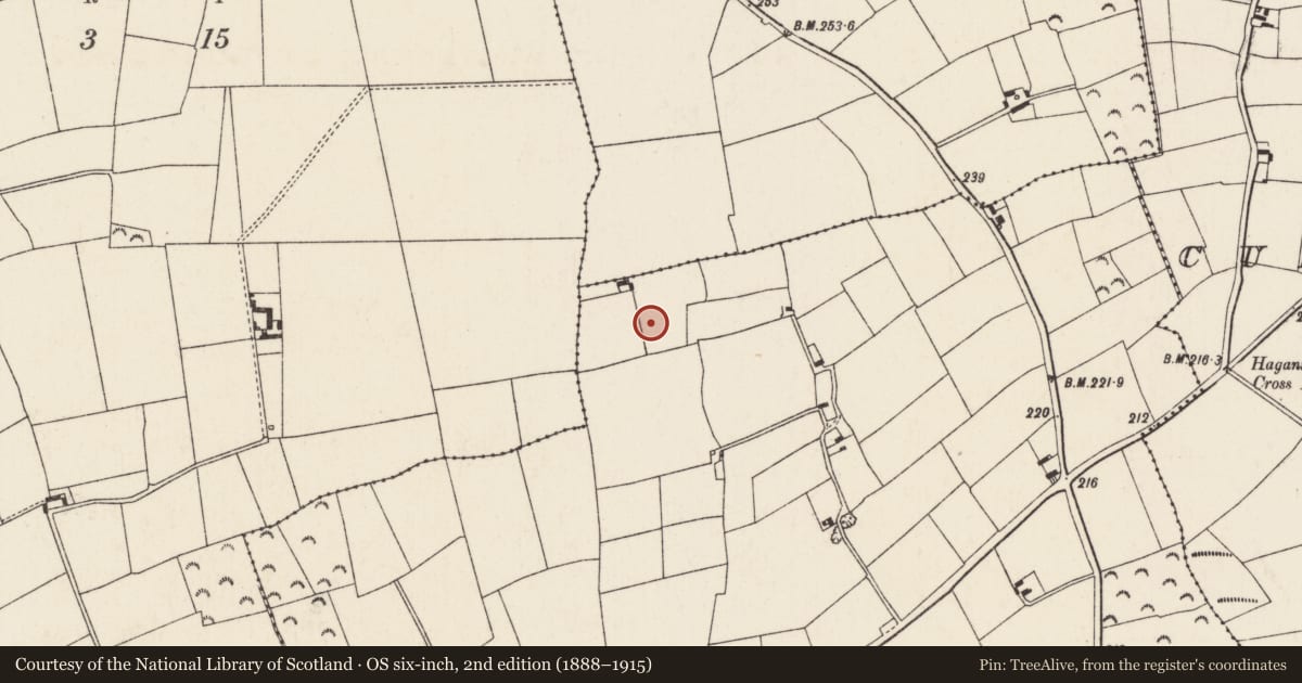 Ordnance Survey six-inch map, 2nd edition (1888–1915) covering the location of Ringfort - rath, Ramsgrange, County Wexford, with a pin at the register's coordinates