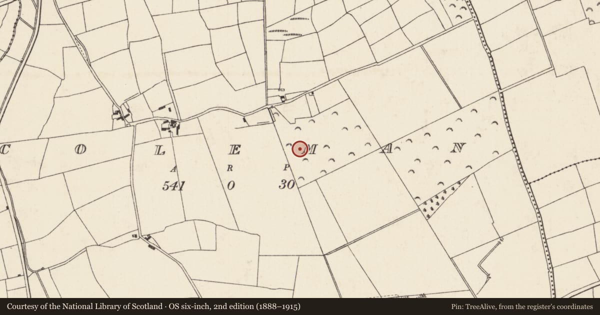 Ordnance Survey six-inch map, 2nd edition (1888–1915) covering the location of Ringfort - rath, Coleman, County Wexford, with a pin at the register's coordinates
