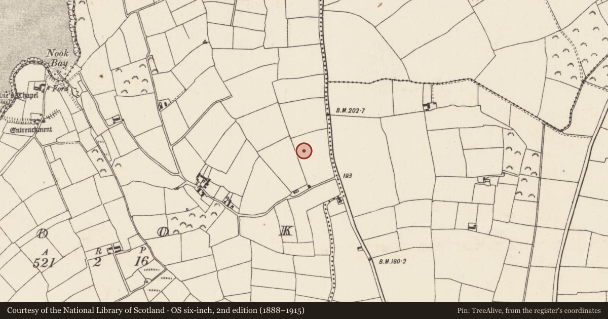 Ordnance Survey six-inch map, 2nd edition (1888–1915) covering the location of Enclosure, Nook, County Wexford, with a pin at the register's coordinates