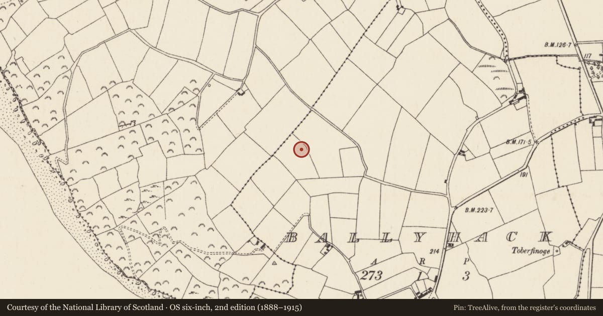Ordnance Survey six-inch map, 2nd edition (1888–1915) covering the location of Ringfort - rath, Ballyhack, County Wexford, with a pin at the register's coordinates