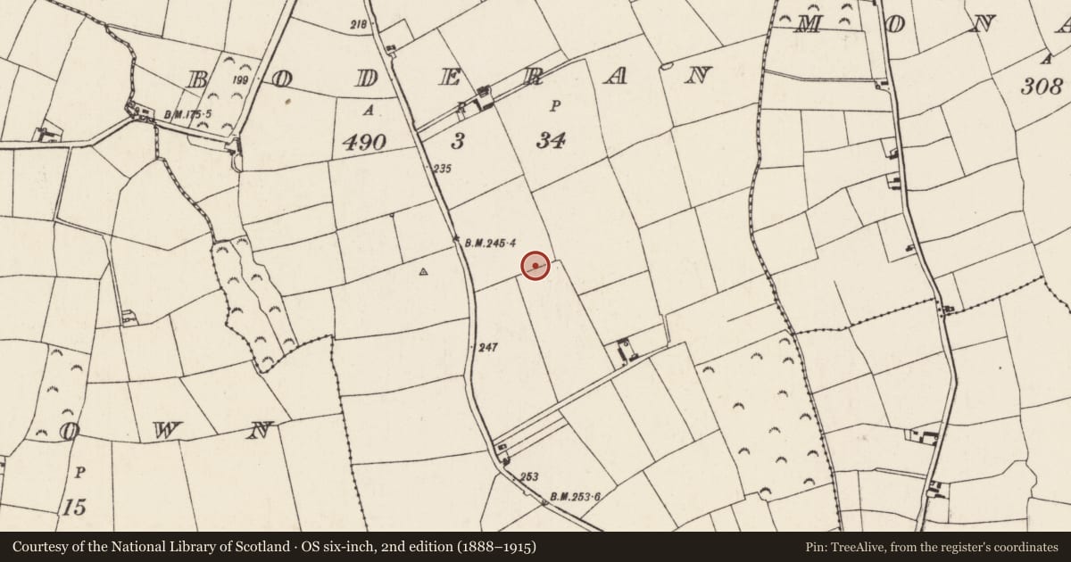 Ordnance Survey six-inch map, 2nd edition (1888–1915) covering the location of Ringfort - rath, Boderan, County Wexford, with a pin at the register's coordinates
