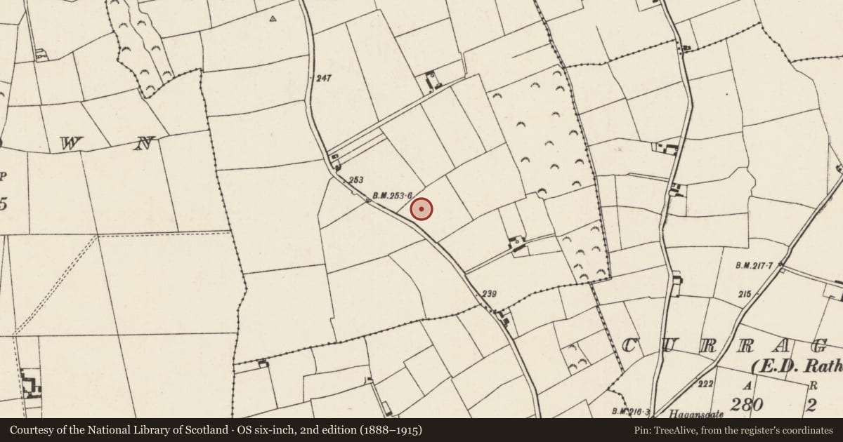 Ordnance Survey six-inch map, 2nd edition (1888–1915) covering the location of Ringfort - rath, Boderan, County Wexford, with a pin at the register's coordinates