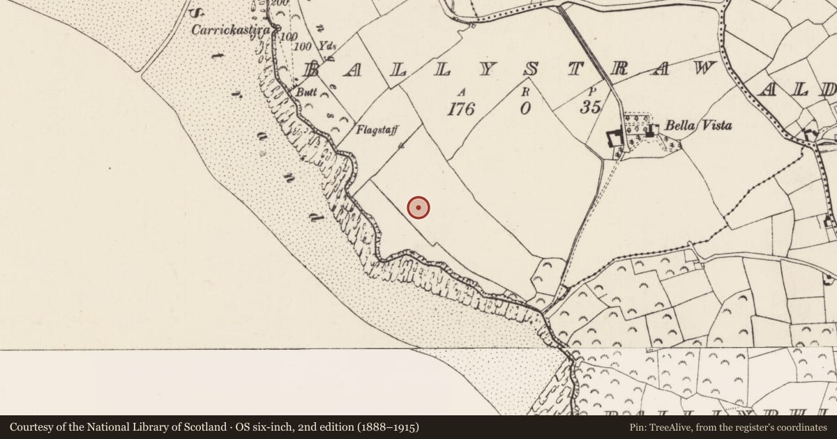 Ordnance Survey six-inch map, 2nd edition (1888–1915) covering the location of Enclosure, Ballystraw, County Wexford, with a pin at the register's coordinates