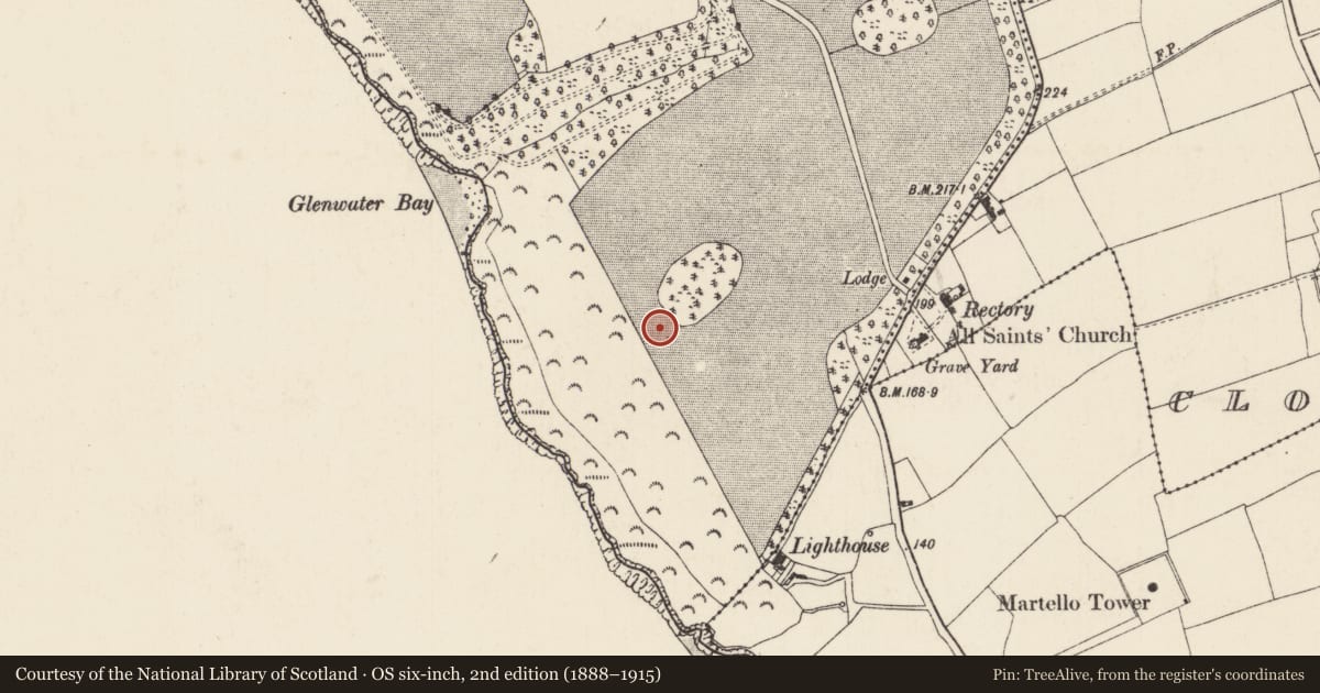 Ordnance Survey six-inch map, 2nd edition (1888–1915) covering the location of Enclosure, Mersheen, County Wexford, with a pin at the register's coordinates