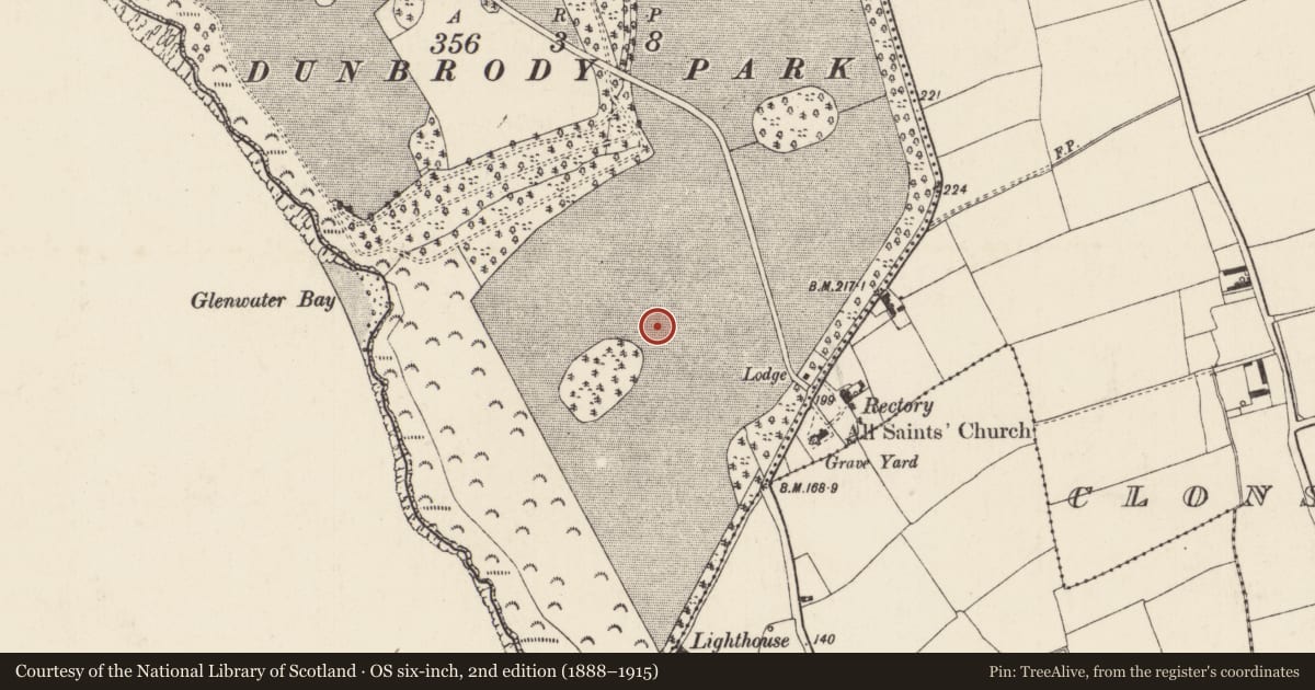 Ordnance Survey six-inch map, 2nd edition (1888–1915) covering the location of Pit-burial, Mersheen, County Wexford, with a pin at the register's coordinates