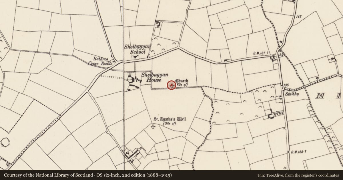 Ordnance Survey six-inch map, 2nd edition (1888–1915) covering the location of Ecclesiastical enclosure, Shelbaggan, County Wexford, with a pin at the register's coordinates