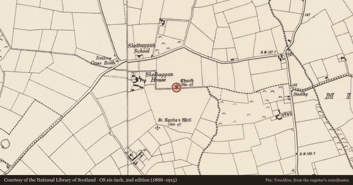 Ordnance Survey six-inch map, 2nd edition (1888–1915) covering the location of Bullaun stone, Shelbaggan, County Wexford, with a pin at the register's coordinates