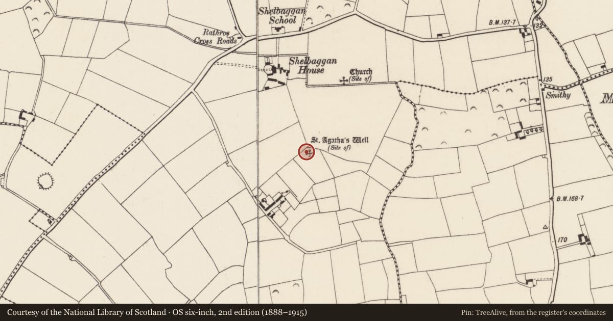 Ordnance Survey six-inch map, 2nd edition (1888–1915) covering the location of Ritual site - holy well, Shelbaggan, County Wexford, with a pin at the register's coordinates