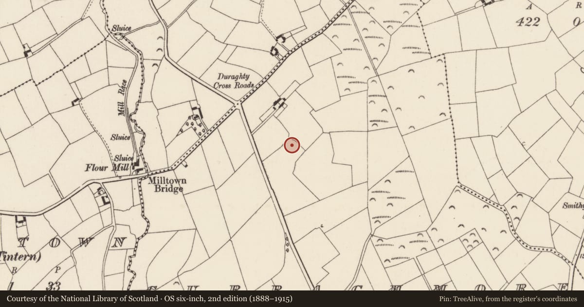 Ordnance Survey six-inch map, 2nd edition (1888–1915) covering the location of Ringfort - rath, Curraghmore, County Wexford, with a pin at the register's coordinates