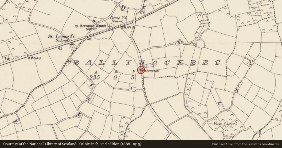 Ordnance Survey six-inch map, 2nd edition (1888–1915) covering the location of Well, Ballyhackbeg, County Wexford, with a pin at the register's coordinates
