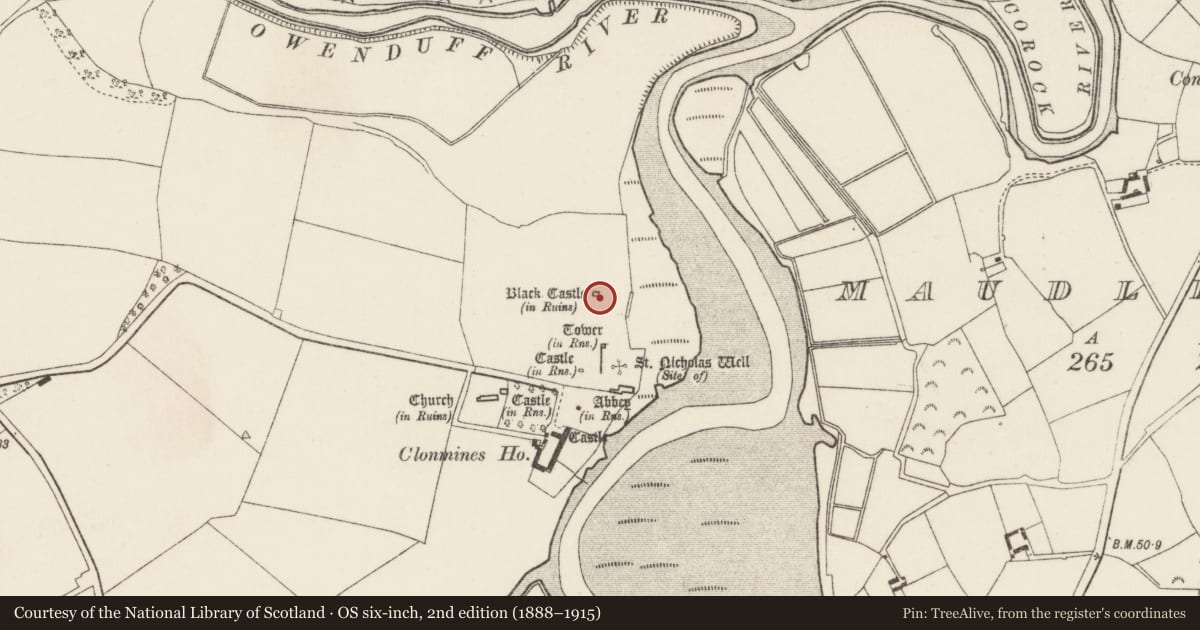 Ordnance Survey six-inch map, 2nd edition (1888–1915) covering the location of Castle - tower house, Clonmines, County Wexford, with a pin at the register's coordinates