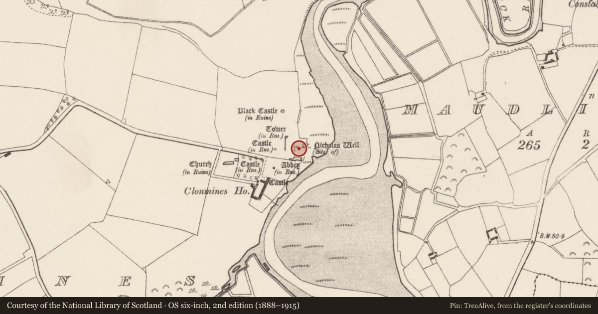 Ordnance Survey six-inch map, 2nd edition (1888–1915) covering the location of Bawn, Clonmines, County Wexford, with a pin at the register's coordinates