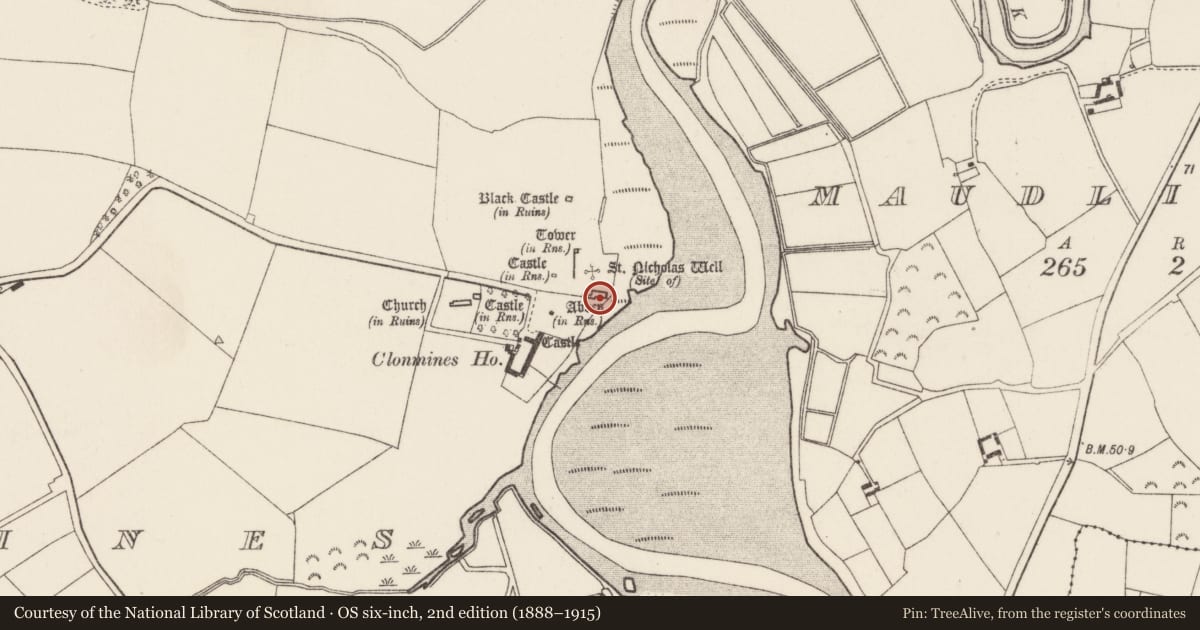 Ordnance Survey six-inch map, 2nd edition (1888–1915) covering the location of Religious house - Augustinian friars, Clonmines, County Wexford, with a pin at the register's coordinates