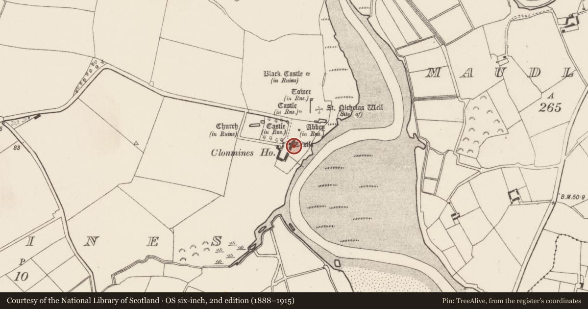 Ordnance Survey six-inch map, 2nd edition (1888–1915) covering the location of Castle - tower house, Clonmines, County Wexford, with a pin at the register's coordinates